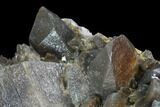 Dogtooth Calcite Crystal Cluster - Morocco #99673-2